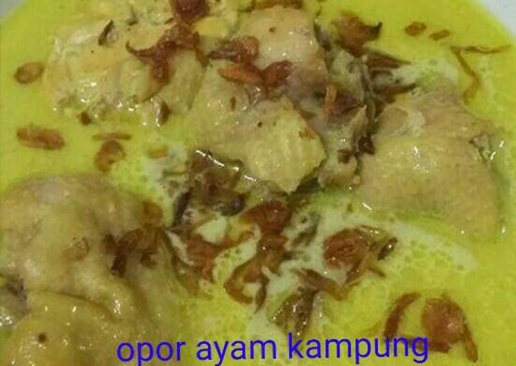 Opor ayam kampung ala bunda Jkb