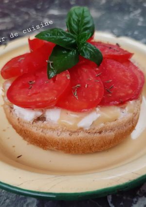 Une photo de Sandwich tomate fromage 🍅🧀🌱