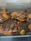 Mujair Bumbu Kecap (Kids friendly)