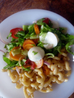A picture of Pasta twist with Vegetable salad.
