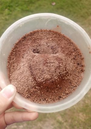 Una foto de Brownies Hechos en Microondas
