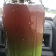 Alkaline - Powerful Amaranth Greens (Juiced)😲 A picture of Alkaline - Powerful Amaranth Greens (Juiced)😲.