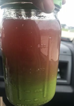 A picture of Alkaline - Powerful Amaranth Greens (Juiced)😲.