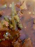 Bhindi gosht salan (Lady finger, Okra)