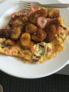 A picture of Omelette & Dodo.