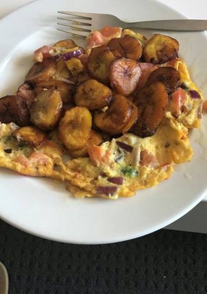A picture of Omelette & Dodo.