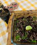 Beet root & Dill Salad