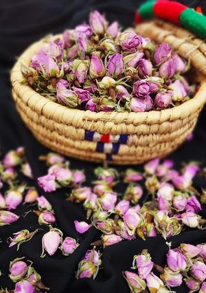 عکسی از دستور خشک کردن غنچه گل محمدی