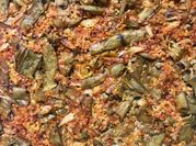 A picture of pepper chilli flakes
