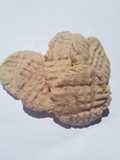 Galles de Avena de Naranja y Miel