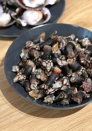 A picture of Goose barnacles - Percebe.