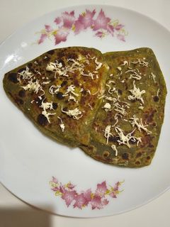 પાલક પનીર પરાઠા (Palak Paneer Paratha Recipe In Gujarati) રેસીપી મુખ્ય ફોટો
