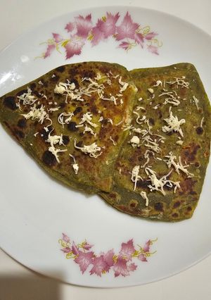 પાલક પનીર પરાઠા (Palak Paneer Paratha Recipe In Gujarati) રેસીપી મુખ્ય ફોટો