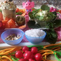 A picture of Shrikhand salad of herbal and fruit-nuts.