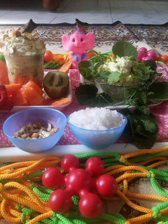 A picture of Shrikhand salad of herbal and fruit-nuts.
