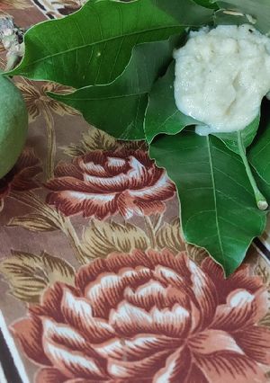 কাঁচা আম বাটা (Kancha Aam Bata recipe in Bengali) রেসিপির প্রধান ছবি
