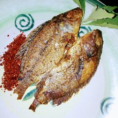A picture of Sauced tilapia fry fish.