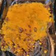 Spicy tater casserole