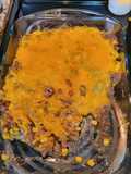 Spicy tater casserole