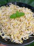 Sautéed Bean Sprouts