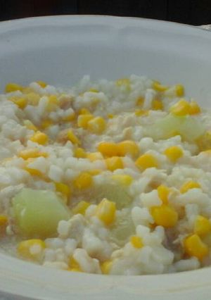 Foto resep Bubur tim ayam jala