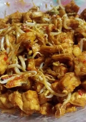 Foto resep Oseng campur2..campur tige ayam suwir tempe dadu