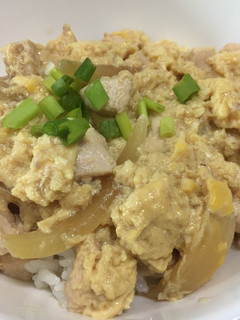 A picture of Japanese Oyako Don (Chicken & Egg on Rice).