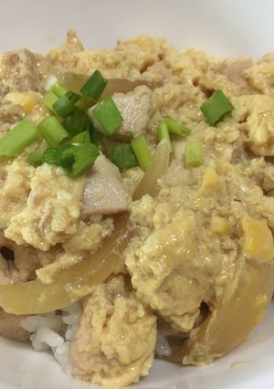 A picture of Japanese Oyako Don (Chicken & Egg on Rice).