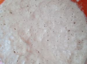 Una foto de Poolish esponja o prefermento