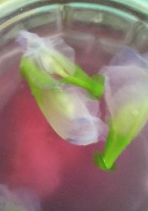 Foto resep 20. Teh Bunga Telang ala Bunda