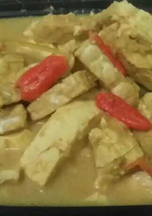Foto resep Opor Tahu Tempe Pedas