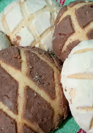 Una foto de Conchas
