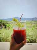 Cocktail Bloody Mary