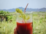 Una foto de bloody mary con tabasco
