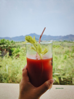 Una foto de Cocktail Bloody Mary