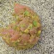 Tartar de salmón
