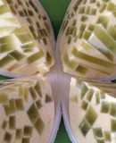 Bánh bông lan rau câu trái dừa