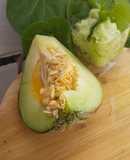 Frozen dessert Muskmelons sorbet