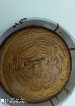 A picture of Marbel cake.