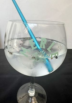 Una foto de Gin tonic