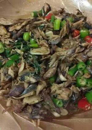 Foto resep Tongkol suwir bumbu teriyaki