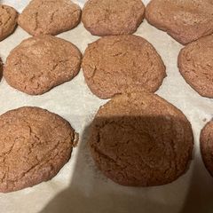A picture of Gingersnaps, Sunwood Signature.