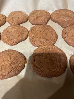 A picture of Gingersnaps, Sunwood Signature.