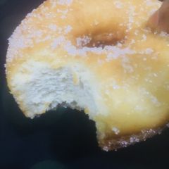 A picture of Donut.