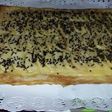 Tarta de manzana