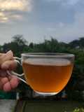 Lemon tea