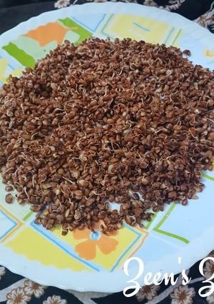 A picture of Boiled Horse Gram Sprouts.