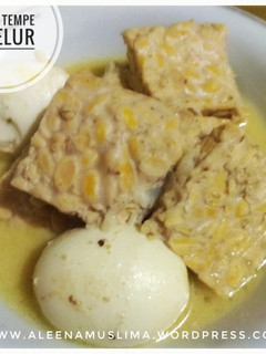 Foto resep Terik Tempe & Telur