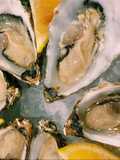 Ostras