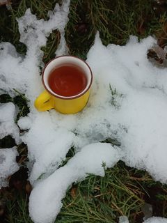 عکسی از دستور چای دارچین🥰
